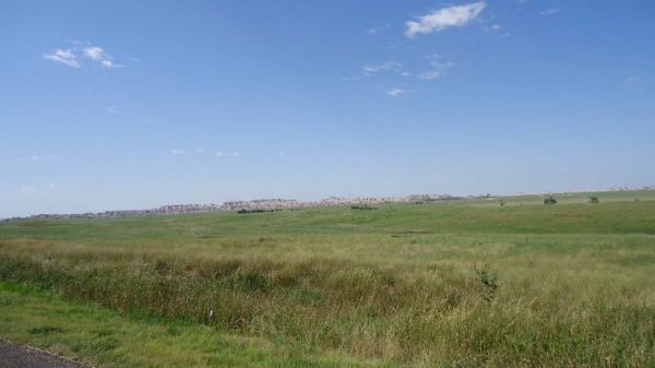 DSC00771.jpg