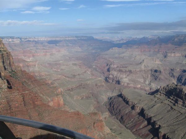 IMG_2924.jpg