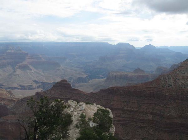 IMG_2934.jpg