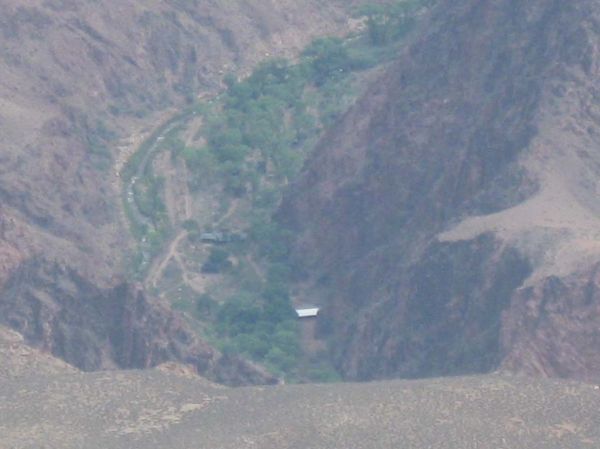 IMG_2940.jpg