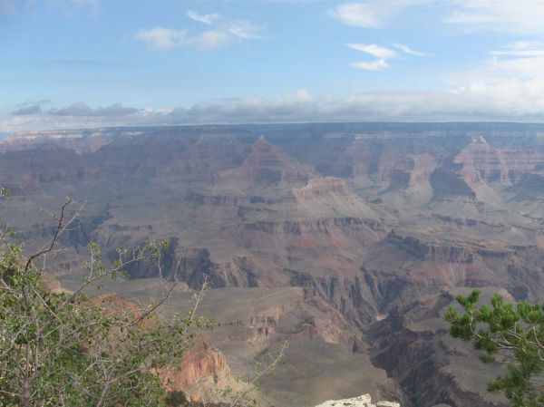 IMG_2944.jpg