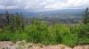 DSC00329.jpg