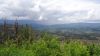 DSC00332.jpg