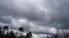 DSC00337.jpg