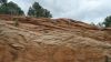 DSC00355.jpg