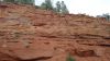 DSC00356.jpg