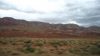 DSC00382.jpg
