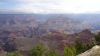 DSC00474.jpg