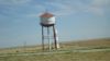 DSC00530.jpg