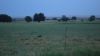DSC00556.jpg