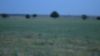 DSC00557.jpg