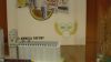 DSC00565.jpg