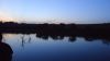 DSC00584.jpg