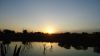 DSC00602.jpg