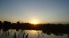 DSC00604.jpg