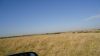 DSC00613.jpg