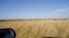 DSC00614.jpg