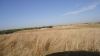 DSC00615.jpg