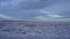DSC00653.jpg