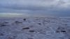 DSC00661.jpg