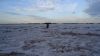 DSC00667.jpg