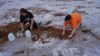 DSC00668.jpg