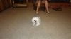 DSC00730.jpg