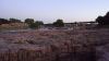 DSC00754.jpg