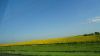 DSC00767.jpg