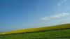 DSC00768.jpg