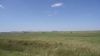 DSC00770.jpg