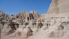 DSC00790.jpg