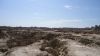 DSC00792.jpg