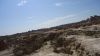 DSC00798.jpg