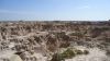 DSC00805.jpg
