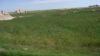 DSC00808.jpg