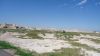 DSC00813.jpg