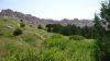 DSC00816.jpg