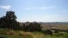 DSC00819.jpg