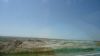 DSC00827.jpg