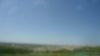 DSC00837.jpg