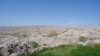 DSC00841.jpg