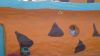 DSC00864.jpg