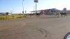 DSC00876.jpg