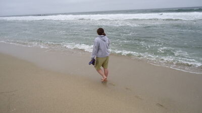 DSC03505.JPG