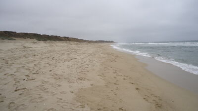 DSC03520.JPG