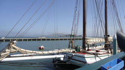 DSC03617.JPG