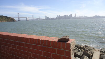 DSC03695.JPG