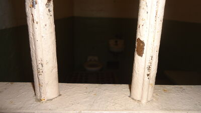 DSC03747.JPG