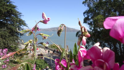 DSC03808.JPG